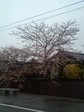 080411_0741~0001.jpg